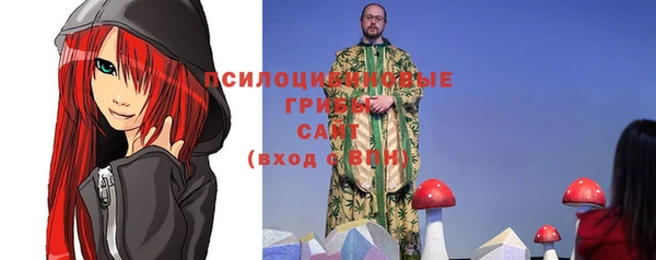 МДПВ Алексин